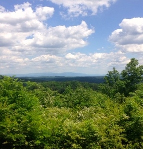 View from White Oak Mountain.